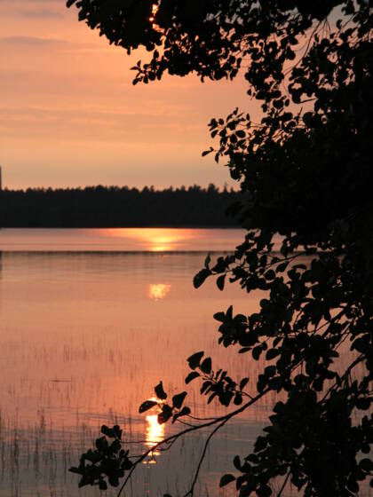 Auringonlasku järvellä iltaruskon väreisä etualalla puita.