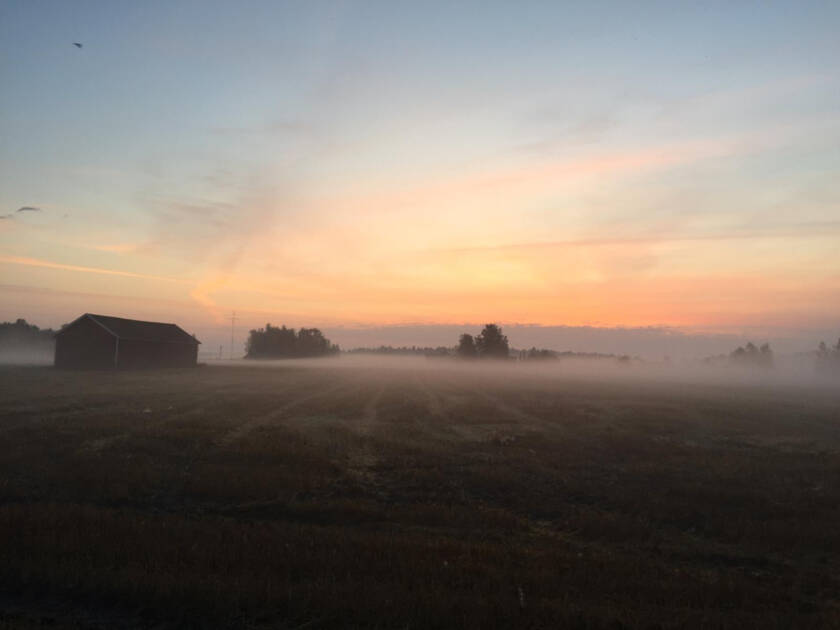 Auringonlasku usvaisella peltoaukealla.