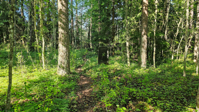 Lehtometsässä puiden alla vanha hautakivi.