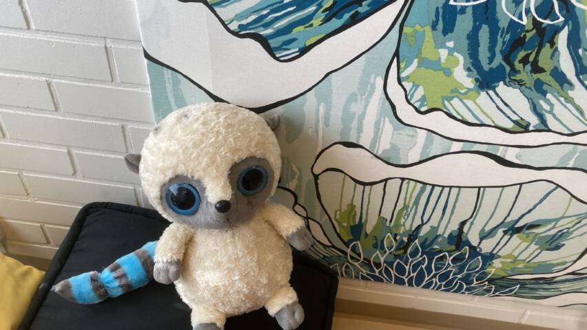 Nalle tyynyllä.